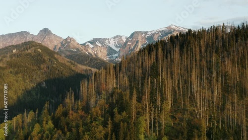 High snowy mountain peaks lit with warm sunrise sunset light, aerial view drone opening shot beautiful mountains hills covered with pine trees, spring season early morning, mountain range golden hour