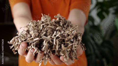 Shredded cardboard in the hands for for gardening, compost, vermicompost or mulch photo