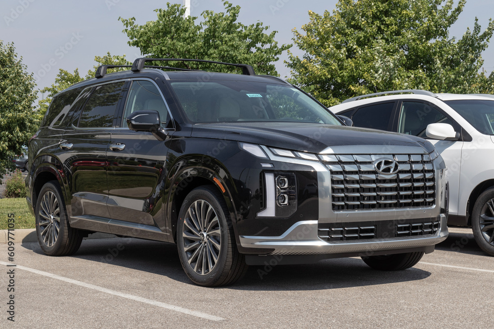 Hyundai Palisade display at a dealership. Hyundai offers the Palisade ...