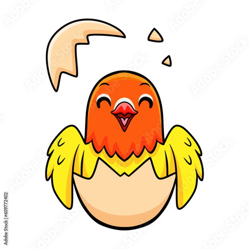 Cute lutino lovebird cartoon inside from egg