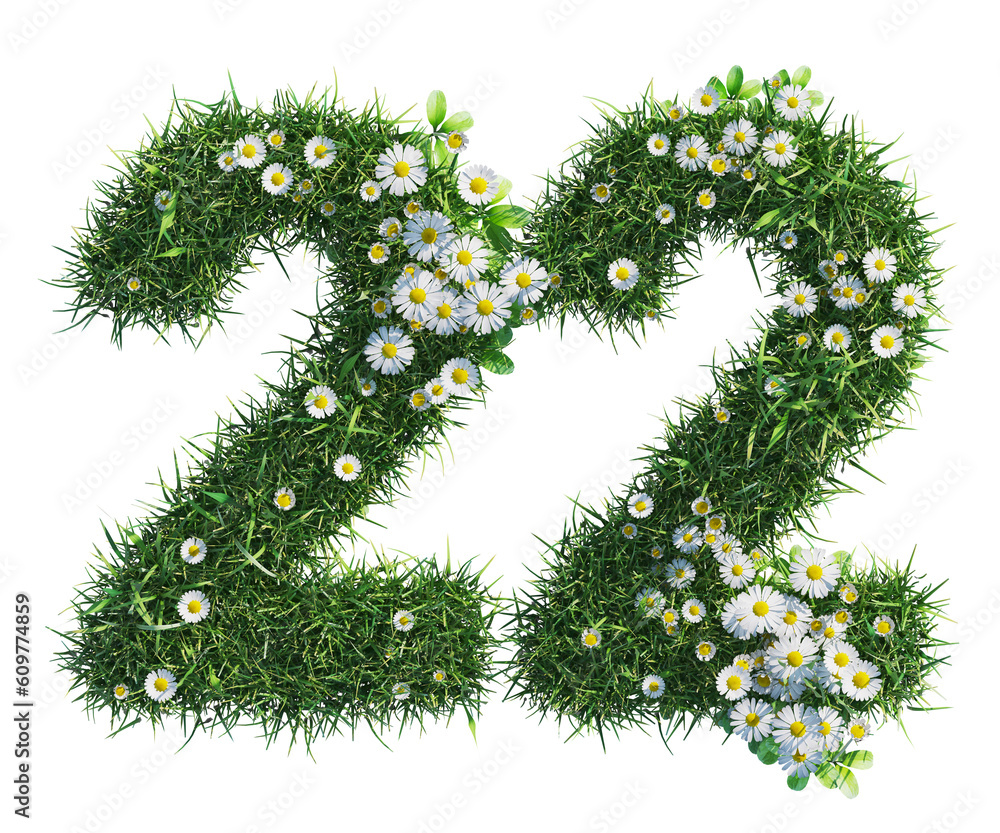 green grass 3d font number twenty two, cut out plants including grass and daisy flower green grass 3d font number twenty two, cut out plants including grass and daisy flower