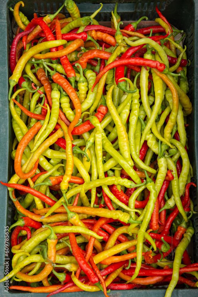 green hot peppers displayed for sale in the market