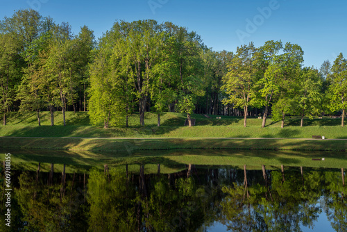 Alley along Karpin Pond in Gatchina Park on a sunny summer day, Gatchina, Leningrad Region, Russia photo