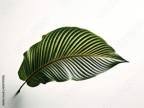 big green isolated leaf in masterful illustration on white background, generative ai