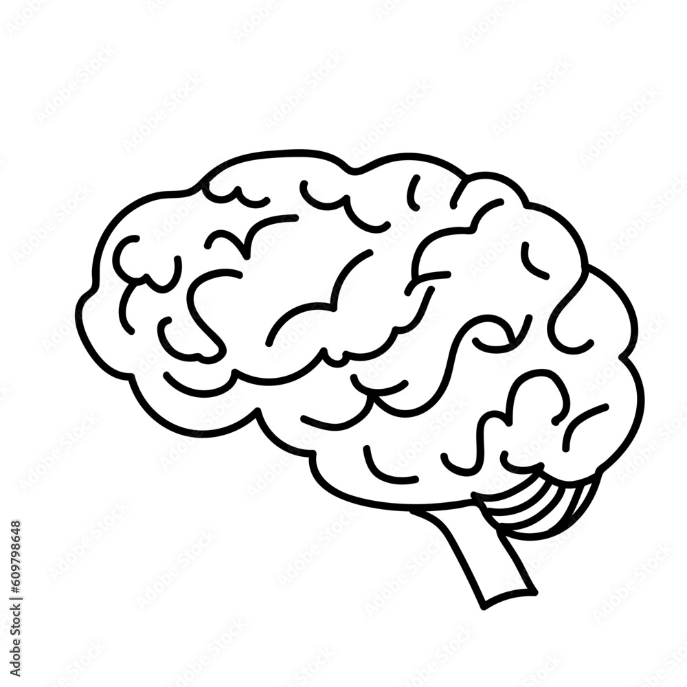 human brain vector illustration human brain vector illustration