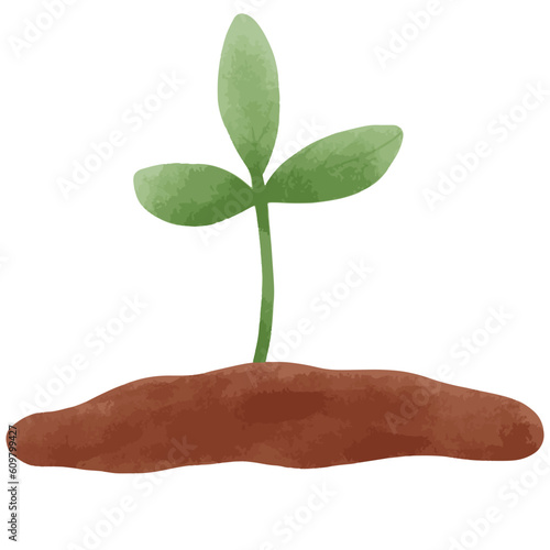Hand drawn plant tree watercolor style for global and earth day element illustration.