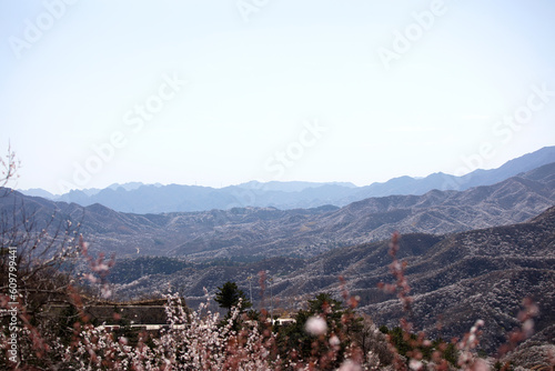 The scenery of mountains blooming with wild flowers in spring