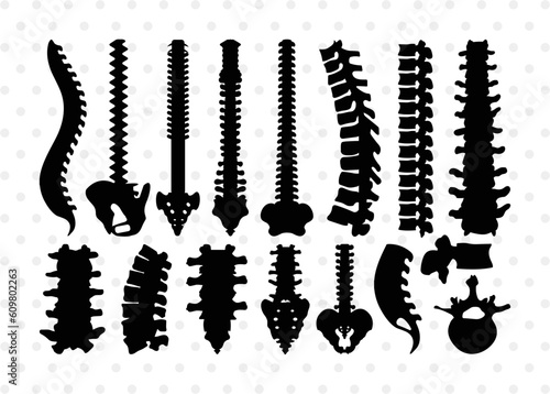 Anatomy Spine Silhouette, Anatomy Spine SVG, Human Spine Svg, Anatomy Svg, Spine Svg, Spine Bundle, SB00137