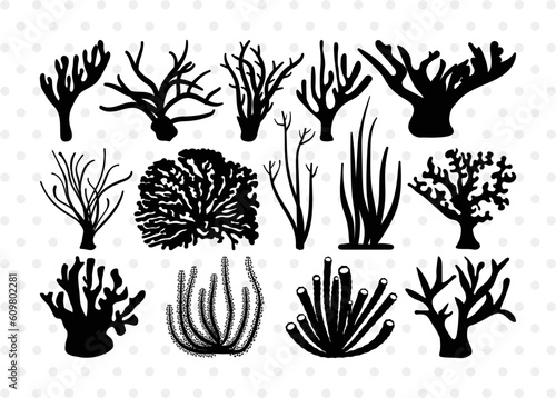 Corals Silhouette, Corals SVG, Seaweed Svg, Corals Stencil Svg, Aquarium Plants Svg, Ocean Svg Bundle, SB00133