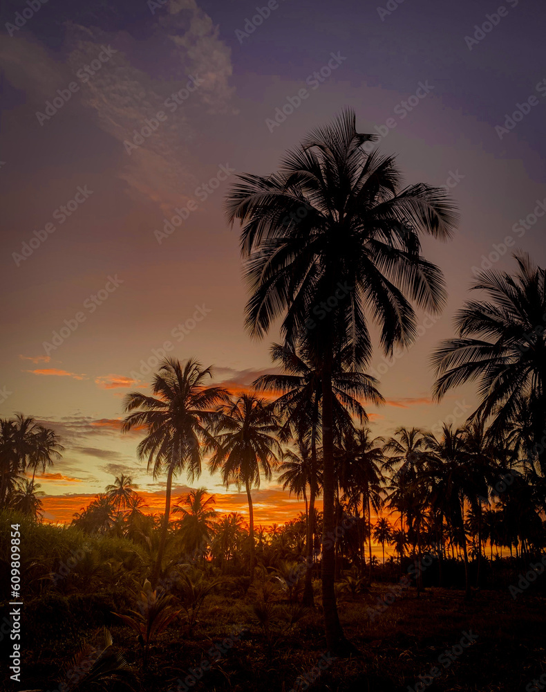 Obraz premium sunset over the sea