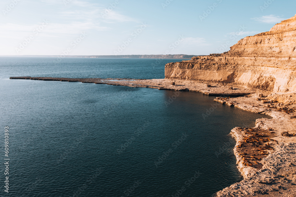 Panoramic view of Punta Piramides in Valdes Peninsula with a sealions colony. Argentine Patagonia.