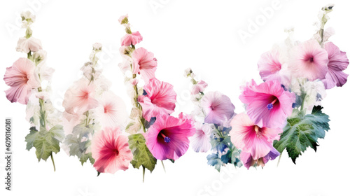 vibrant hollyhock flowers towering isolated on a transparent background for design layouts