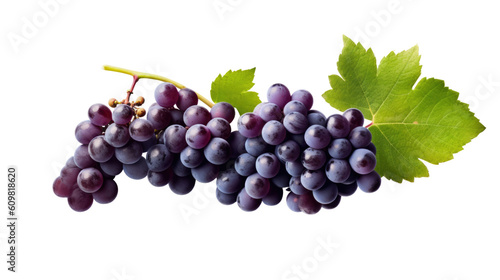 lush vineyard with ripe grapes isolated on a transparent background for design layouts