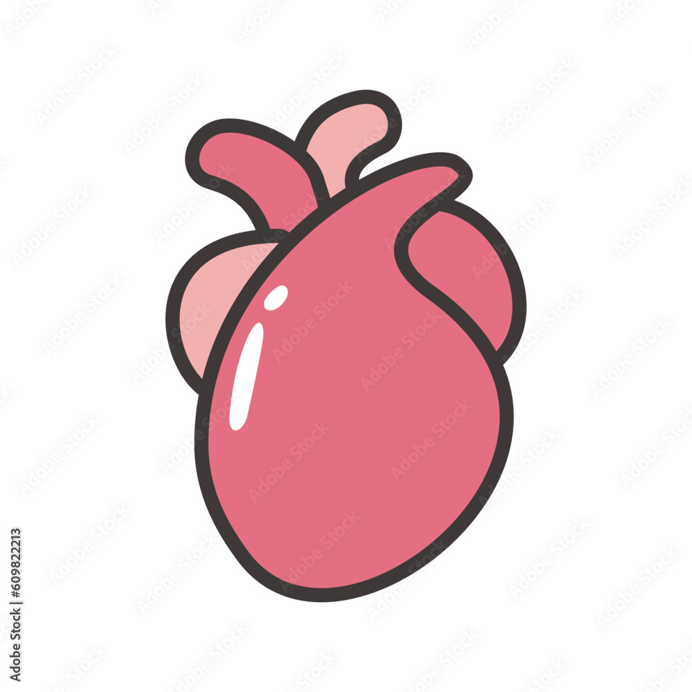 Human Organs Illustration Human Organs Illustration