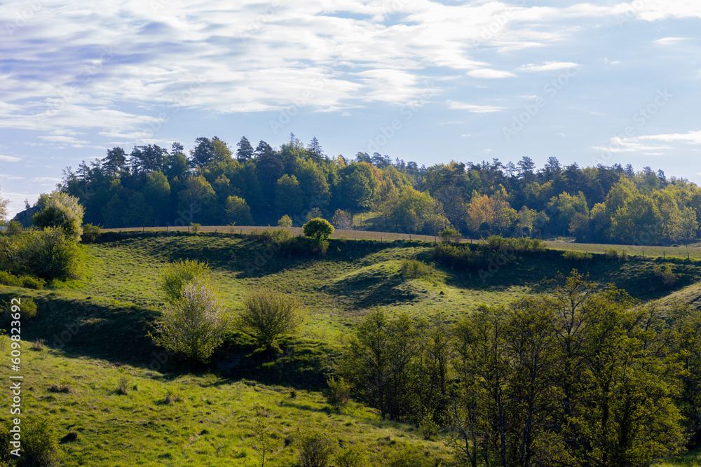 Obraz premium Rolling hills landscape in early morning.with trees and pasture land near Gota river in Sweden..