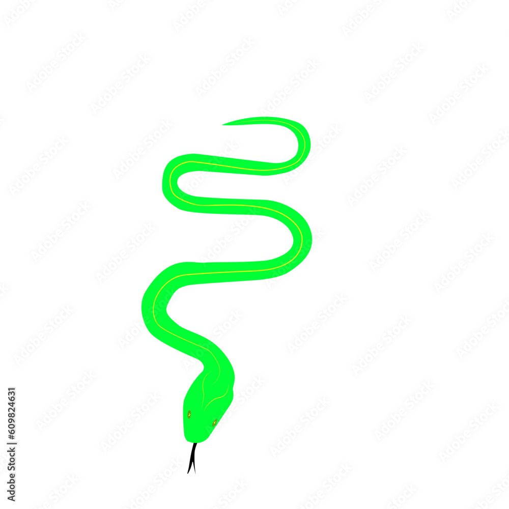 Green snake Illustration 