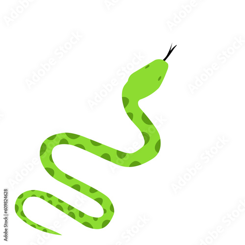 Green snake Illustration 