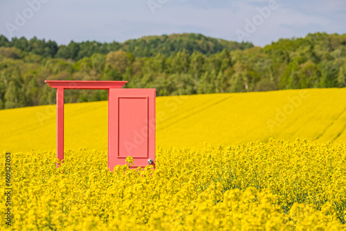 北海道 安平町の菜の花畑