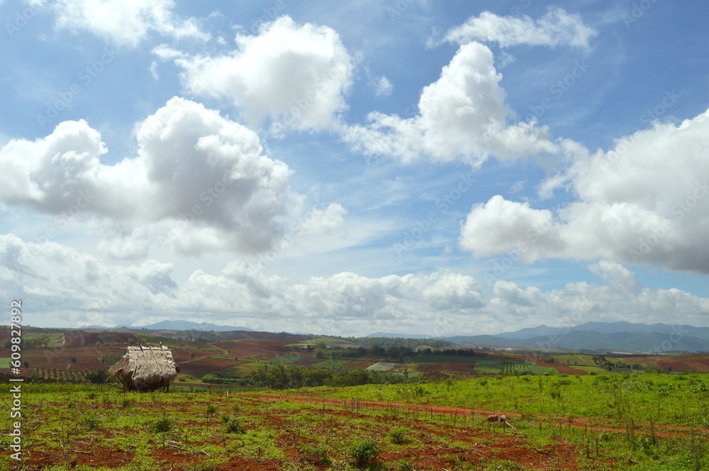Obraz premium landscape with clouds