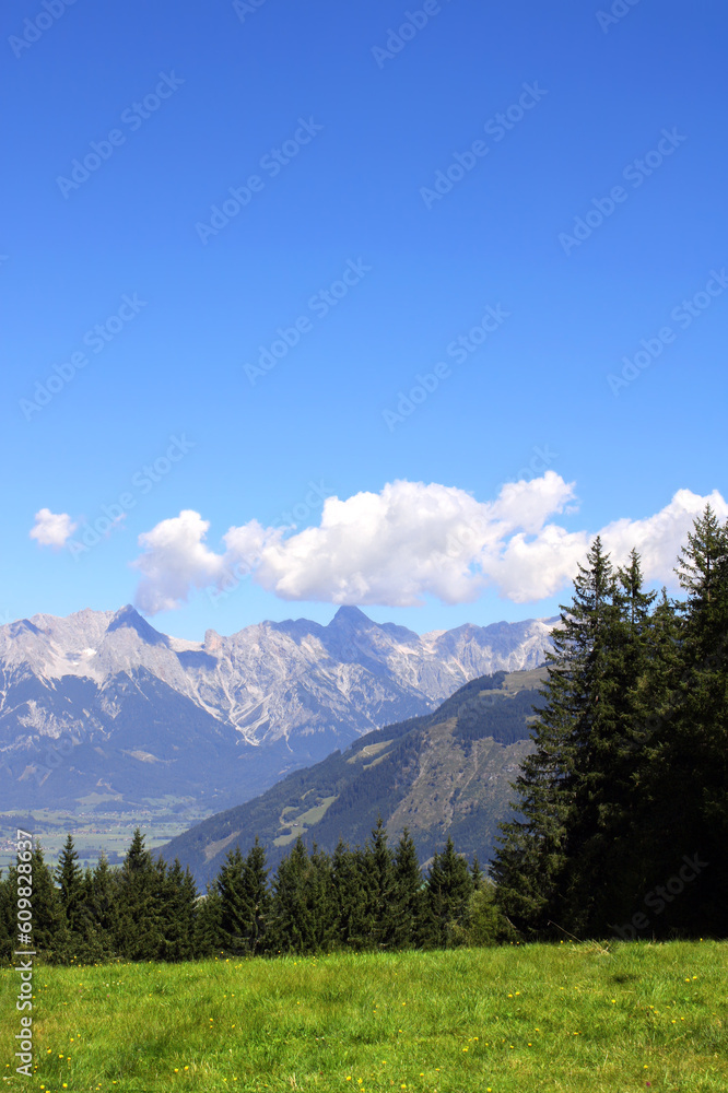 Alps mountains in Tirol, Austria. Aerial view of idyllic mountain scenery in Alps with green grass and fur-trees on sunny day