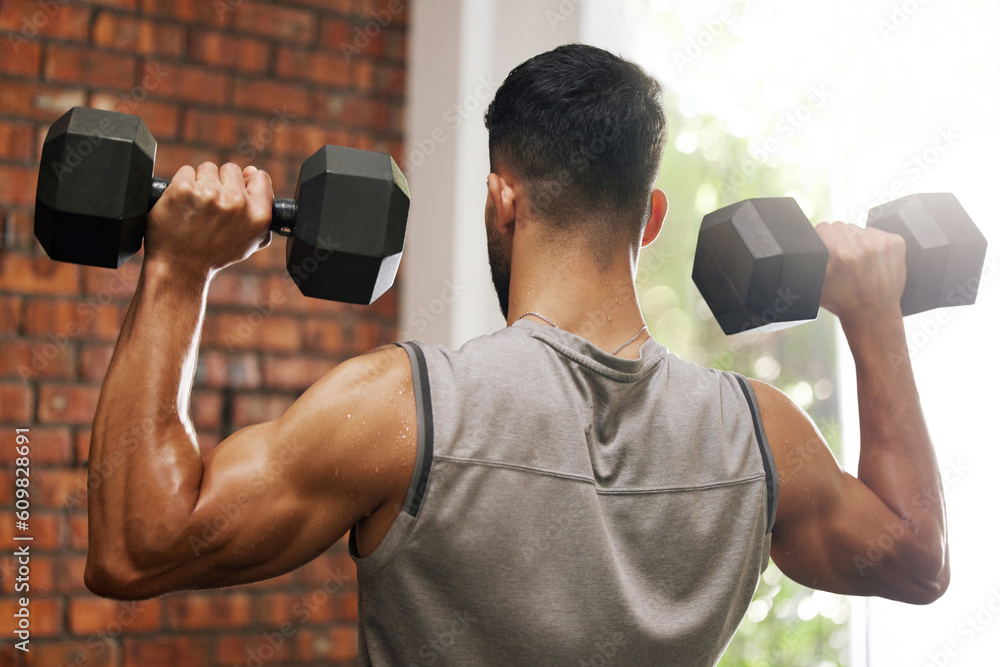 Weightlifting, muscle and man with dumbbell in gym for exercise, bodybuilder training and workout. Sports, fitness and back of strong male person lift weights for wellness, healthy body and strength Weightlifting, muscle and man with dumbbell in gym for exercise, bodybuilder training and workout. Sports, fitness and back of strong male person lift weights for wellness, healthy body and strength
