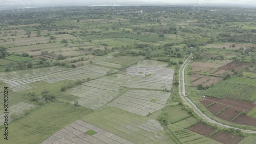 agriculture field_ Faddy _ Water canal _ Greenery