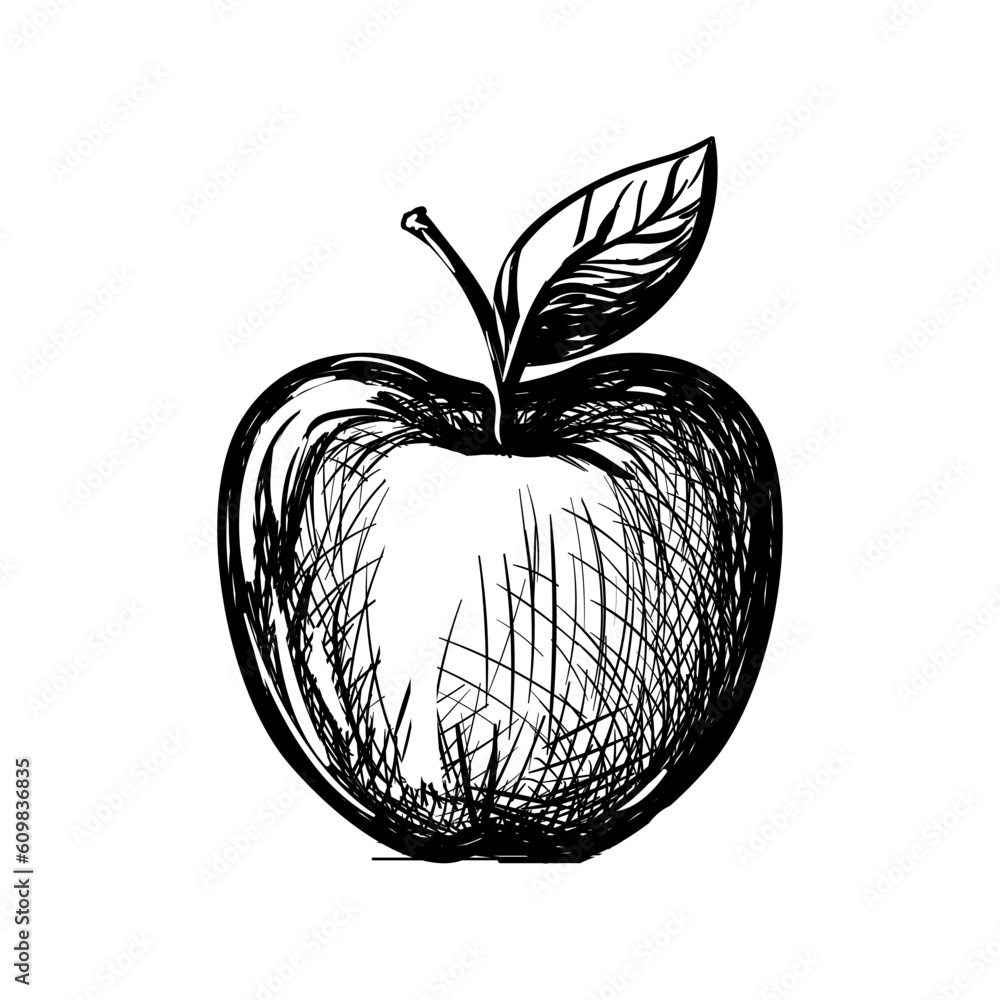 illustration of an apple illustration of an apple
