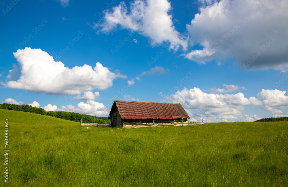 A wooden hut on a field with green grass
