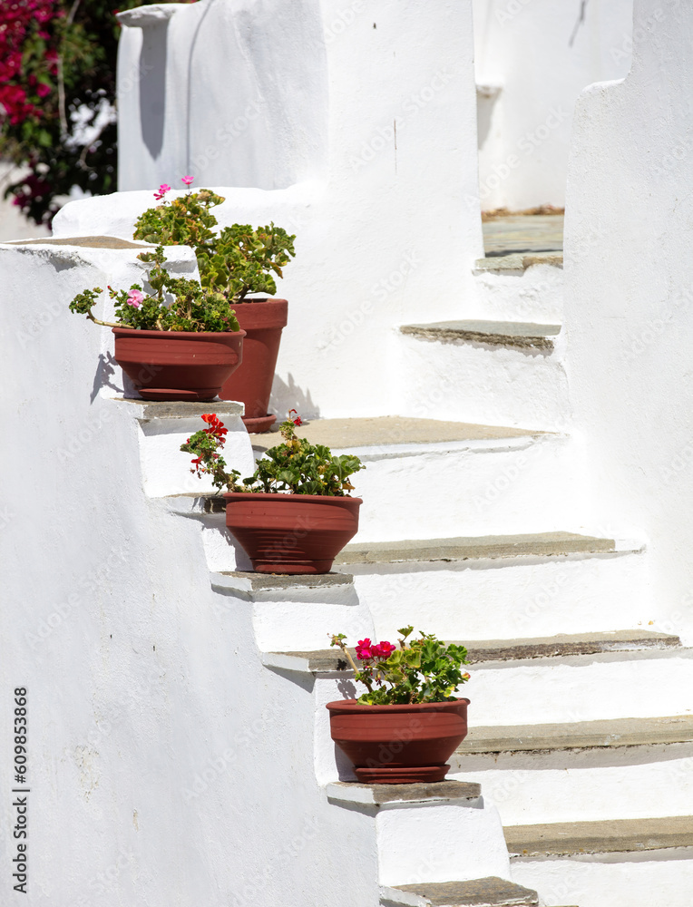 Naklejka premium Whitewashed wall with potted flower on step, Cyclades island architecture, Greece. Vertical
