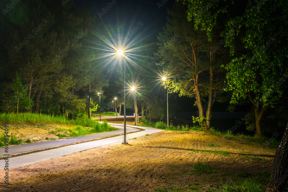 Droga między drzewami nocą