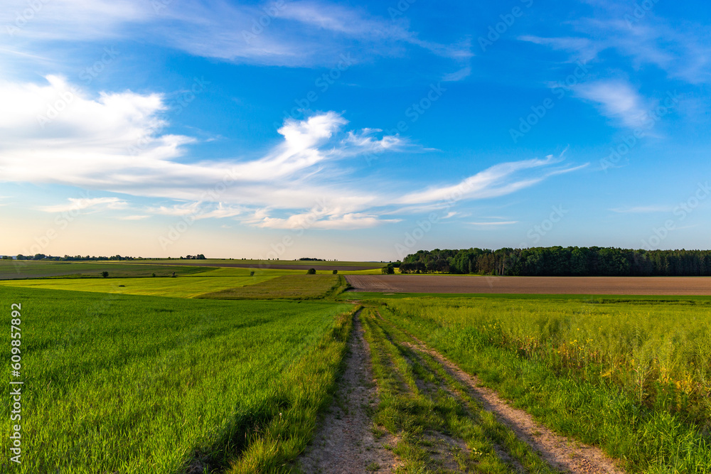 Summer fields in European countryside. Summer fields in European countryside.