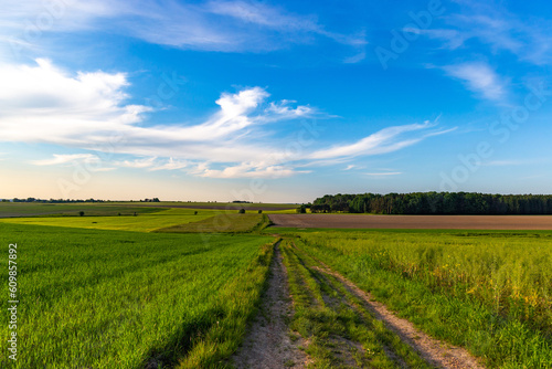 Summer fields in European countryside.