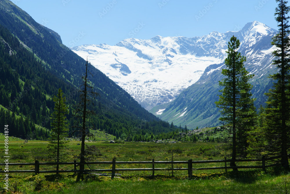 Bergwelten Landschaft Urlaub Wald Bergwelten Landschaft Urlaub Wald
