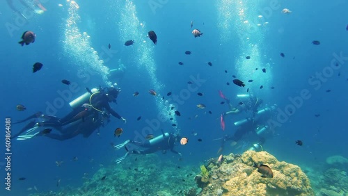 Underwater, scuba diving and people swimming for freedom, explore and adventure with fish or coral. Sea, water and diver friends together on vacation, snorkeling or hobby while traveling in Australia