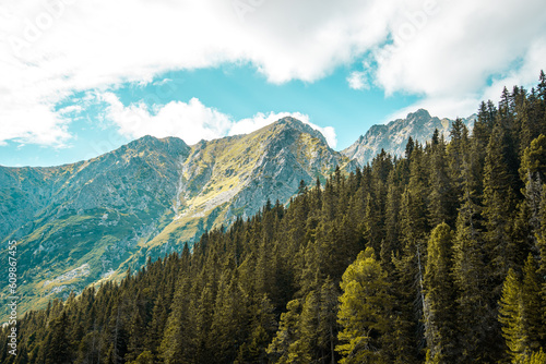 Mountain summer photo from High Tatras national park near Popradske lake, Slovakia. Sport area for bouldering.