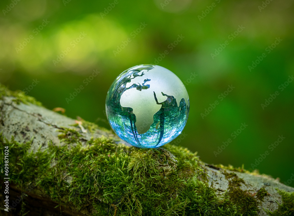 glass earth globe in the forest glass earth globe in the forest