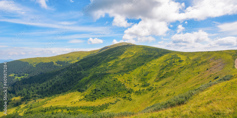 carpathian countryside in summer. popular travel destination of ukraine. scenery in bright morning light carpathian countryside in summer. popular travel destination of ukraine. scenery in bright morning light