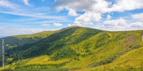 carpathian countryside in summer. popular travel destination of ukraine. scenery in bright morning light