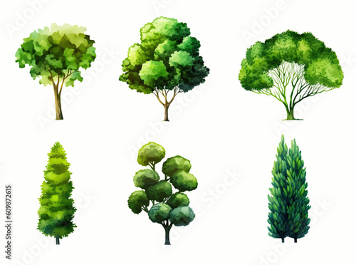 Set of hand drawn trees and bushes. Vector illustration in watercolor style.