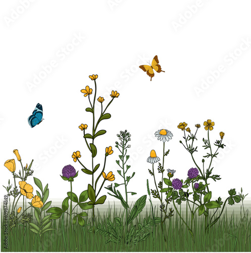 Summer meadow plants and insects. Colorful wildflowers, bumblebees and butterflies on a white background. Floral natural pattern vector flat illustration. Formats Vector images