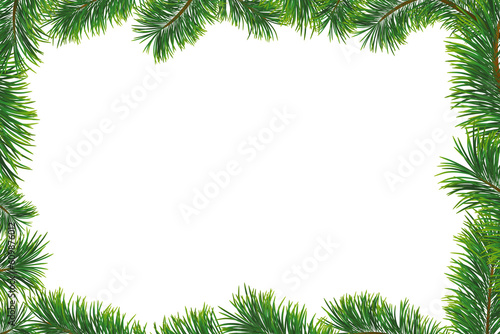 Christmas background with fir branches. Isolated illustration with frame and copy space