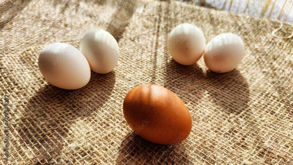 Lots of white eggs and one brown egg on rag jute cloth. Concept of individuality, exclusivity. Bullying, group and confrontation. Leadership and confidence. Agricultural Production of eggs, incubator Lots of white eggs and one brown egg on rag jute cloth. Concept of individuality, exclusivity. Bullying, group and confrontation. Leadership and confidence. Agricultural Production of eggs, incubator