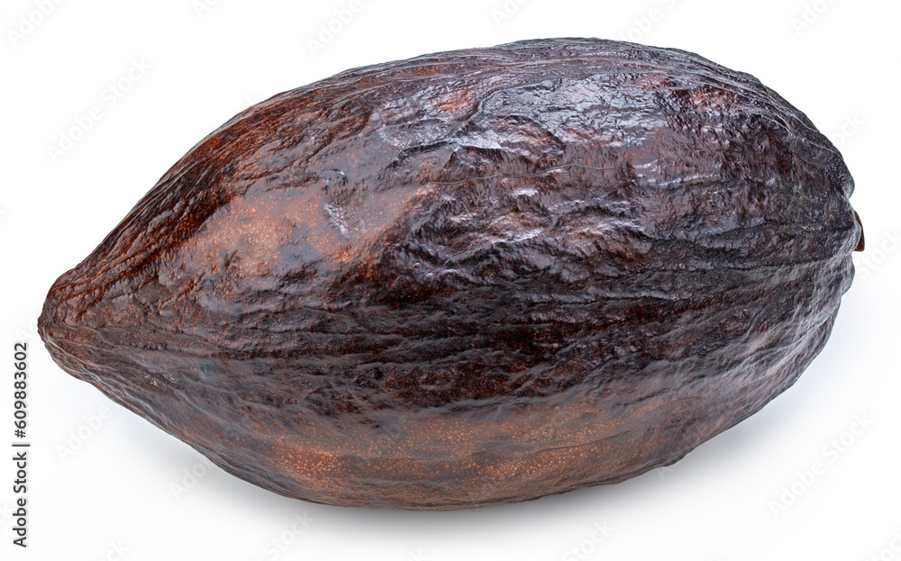 cacao isolated on white background cacao isolated on white background