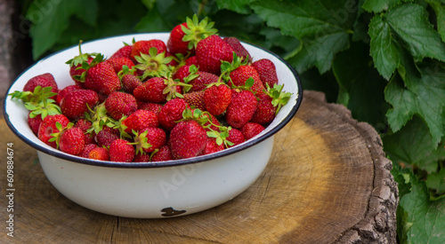 Billede på lærred the boy is holding a bowl with freshly picked strawberries.
