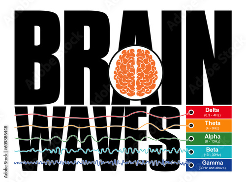 A vector illustration of brainwave oscillations, including beta, alpha, theta, delta, and gamma waves. Various types and amplitudes of mind waves, the rhythmic patterns found in human brain activity.