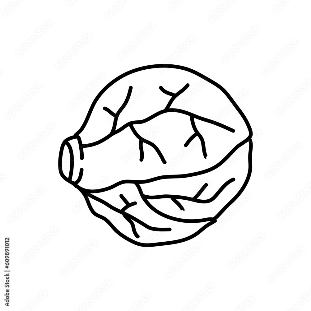 Brussel Sprouts doodle icon. Hand drawn black sketch. Vector Illustration Brussel Sprouts doodle icon. Hand drawn black sketch. Vector Illustration