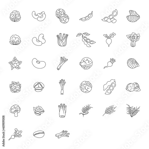 vegetable element doodle line set. Freehand drawing fruit and vegetables on a sheet of exercise book. Vector illustration. Set