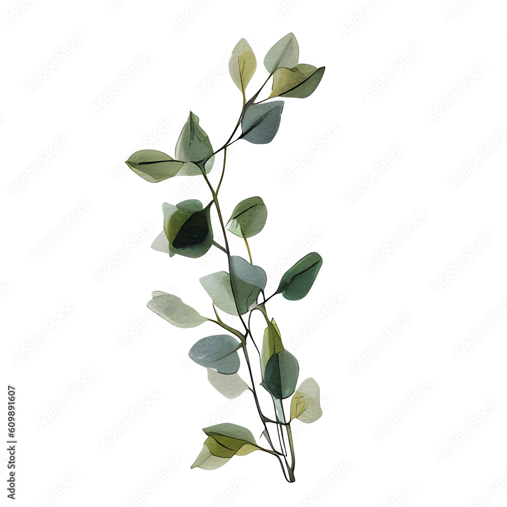 watercolor botanical elements, flowers, leaves (transparent, isolated with no background) watercolor botanical elements, flowers, leaves (transparent, isolated with no background)
