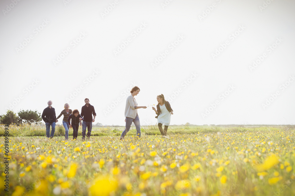 Multi-generation family walking in sunny meadow with wildflowers Multi-generation family walking in sunny meadow with wildflowers