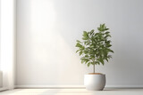 Plant, tree, vegetation in the white minimal clean room. Generative ai.